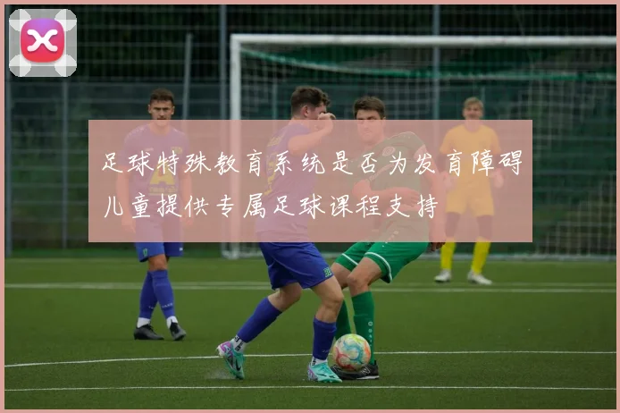 足球特殊教育系统是否为发育障碍儿童提供专属足球课程支持