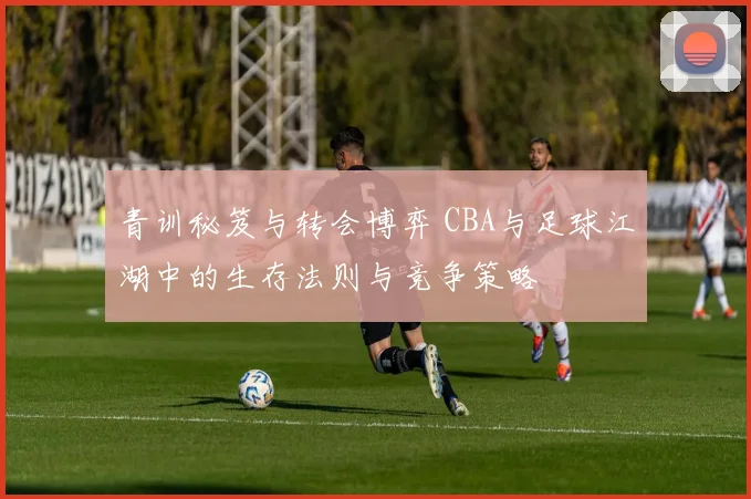 青训秘笈与转会博弈 CBA与足球江湖中的生存法则与竞争策略