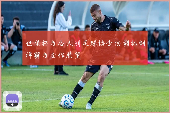 世俱杯与各大洲足球协会协调机制详解与合作展望