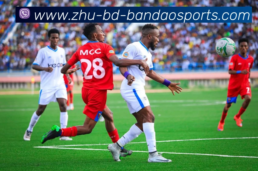 半岛体育APP 体育赛事宣传图